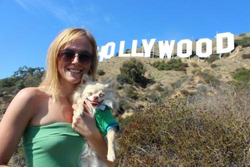 Hollywood Sign